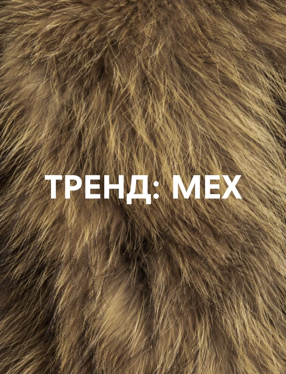 Сейчас мех снова в центре внимания — но речь не только о классических шубах, которые, к...