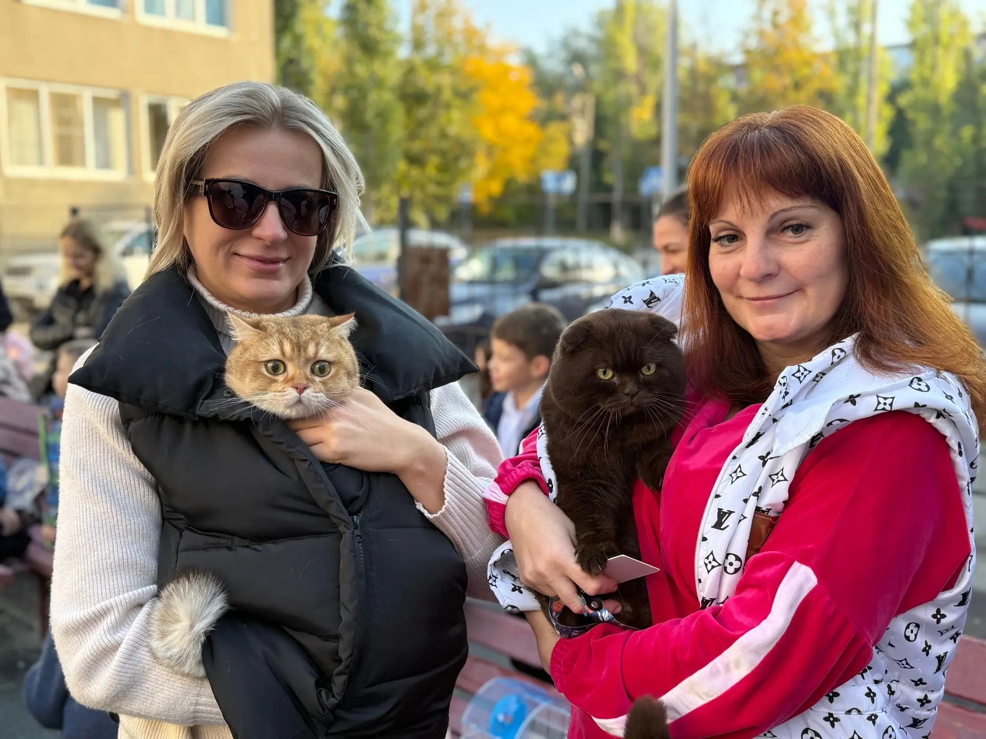 🐾 На свежем воздухе и в отличной компании! В Школе №87 прошла выставка домашних животн...