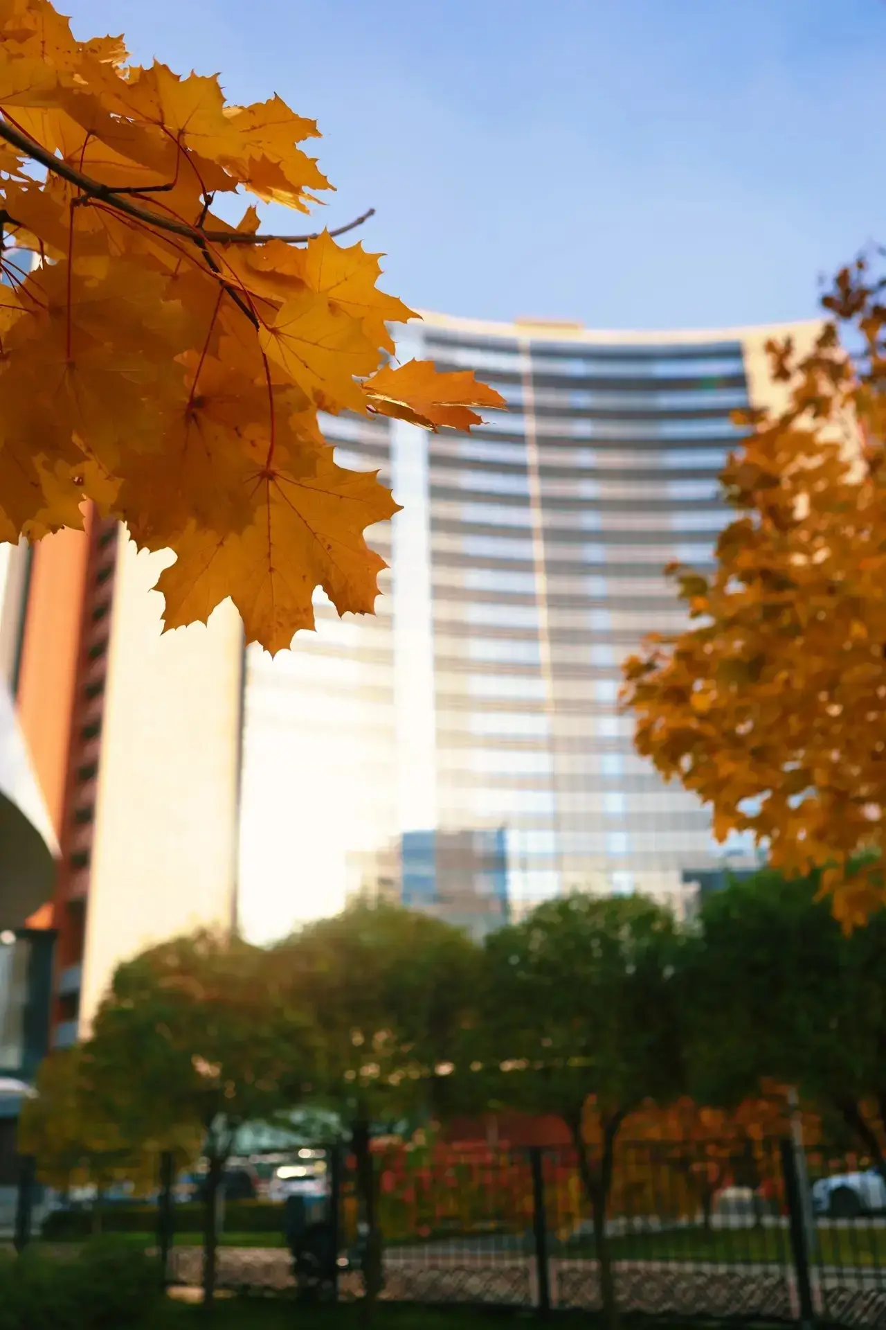 Доброе утро! 🍂