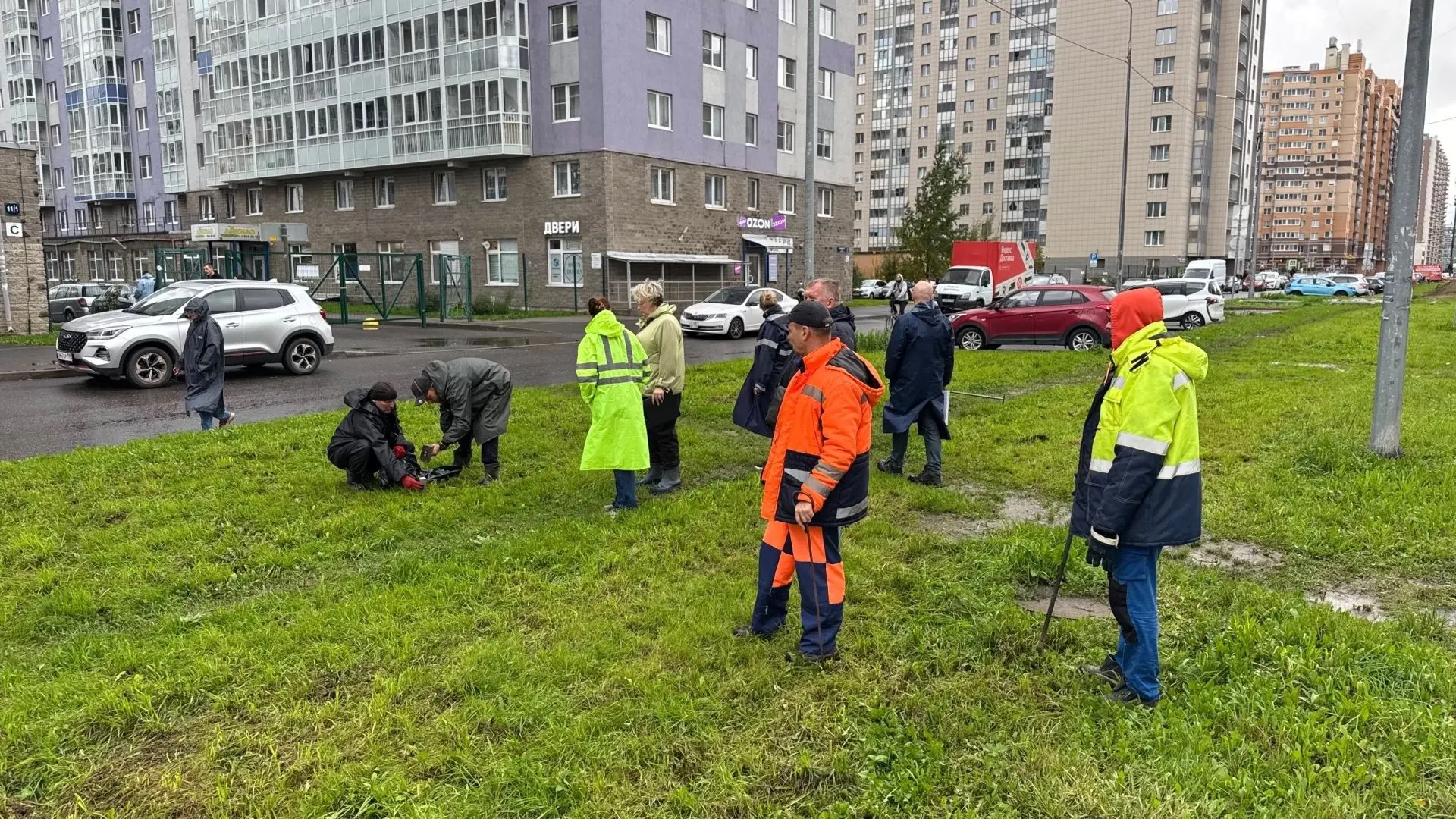 Петровский бульвар готовится к масштабному озеленению! ☺️