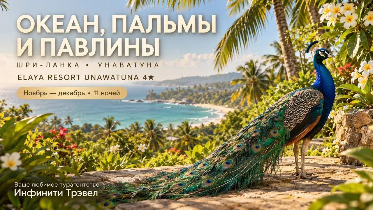 🦚 Пока у кого-то за окном снег, у вас — океан и павлины!