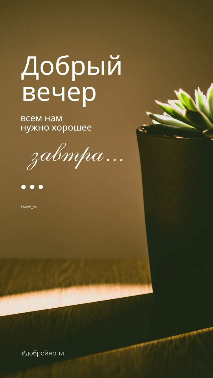 🌸 Дорогие мои, желаю всем прекрасного и уютного вечера! ❤️