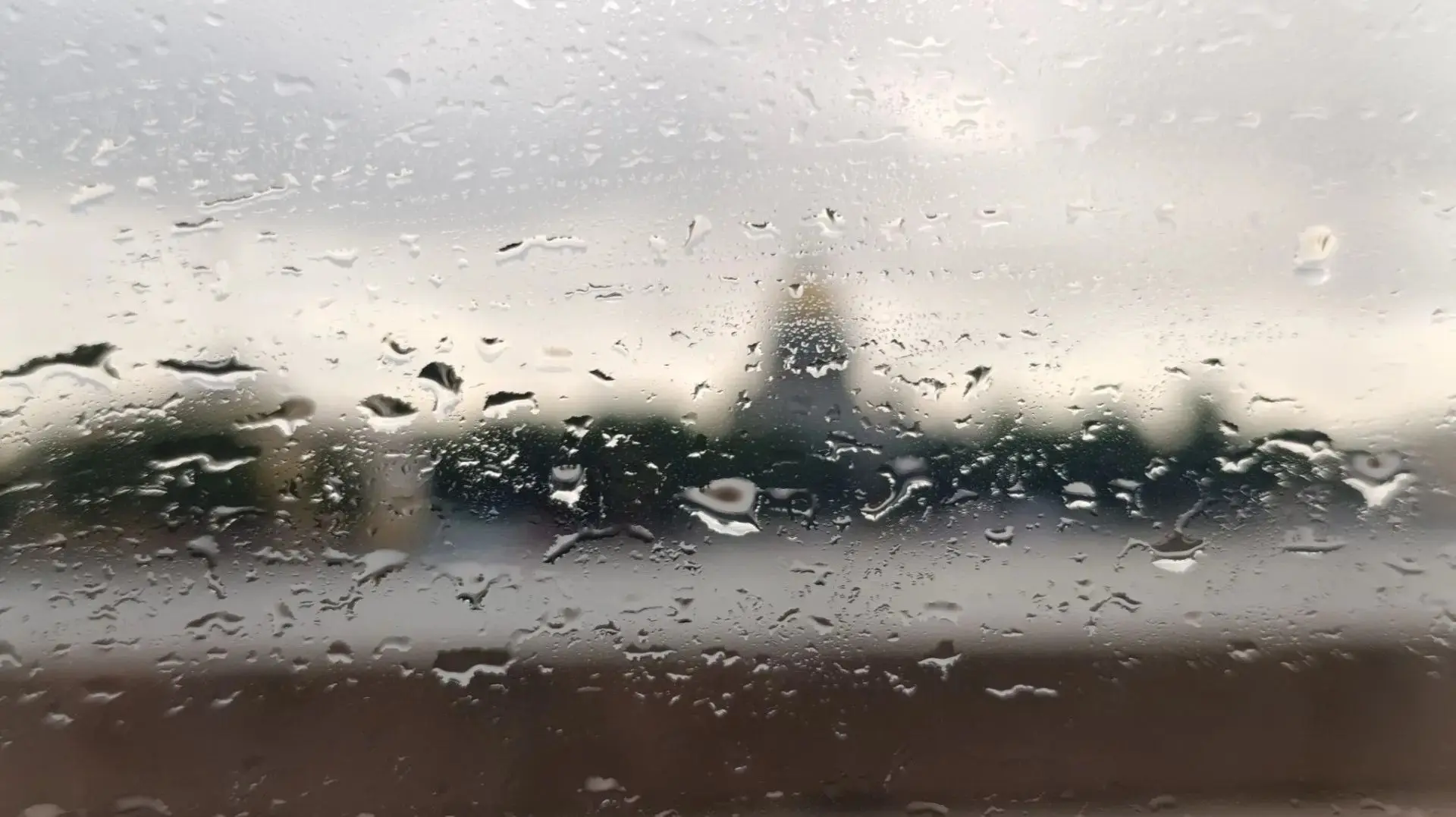 В Петербурге холодно и дождливо, но тем приятнее быть с любимыми дома
