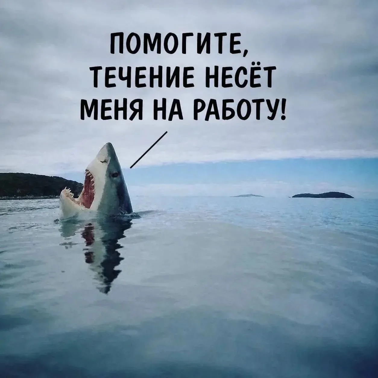 Пятница!