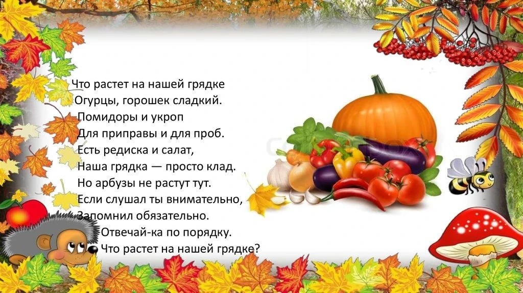 Золотая осень — время щедрых даров и удивительных открытий! 🍁✨