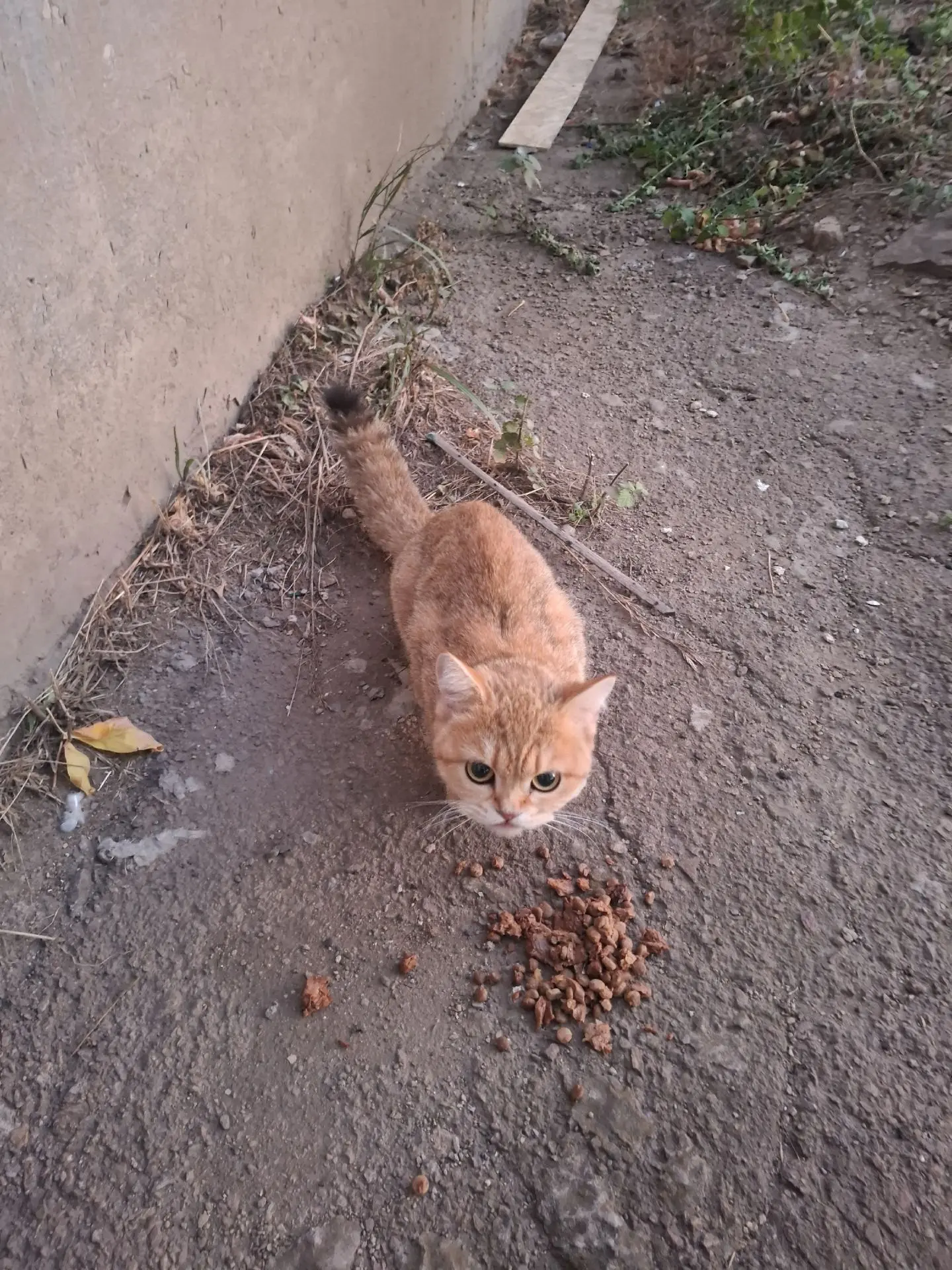 🔴 Нам пишут:
