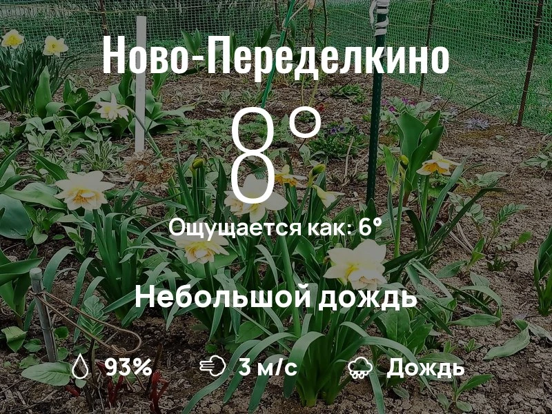 Что с погодой в Ново-Переделкино?