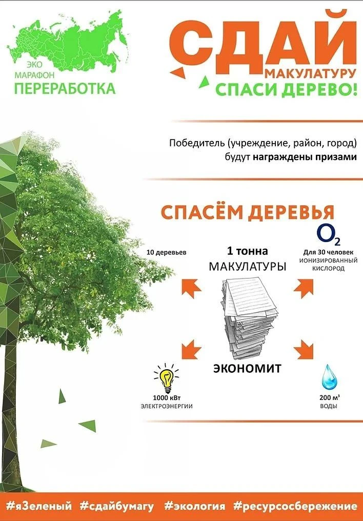 СДАЙ МАКУЛАТУРУ – СПАСИ ДЕРЕВО!🌲⁣