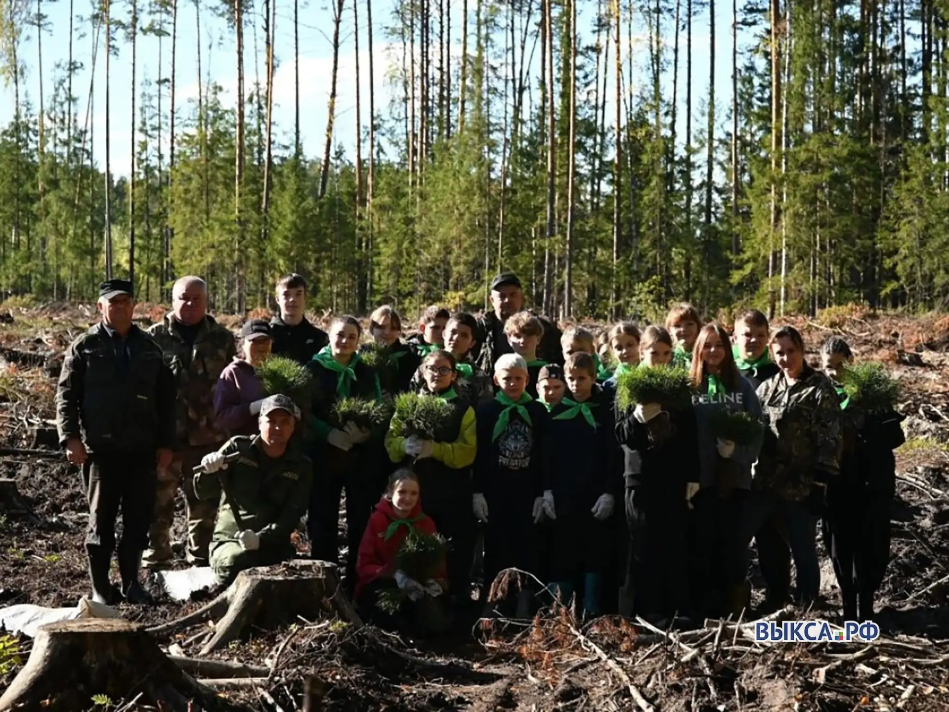 🌳 В Выксунском лесничестве высадили 6 тысяч сеянцев сосны в рамках акции «Сохраним лес»