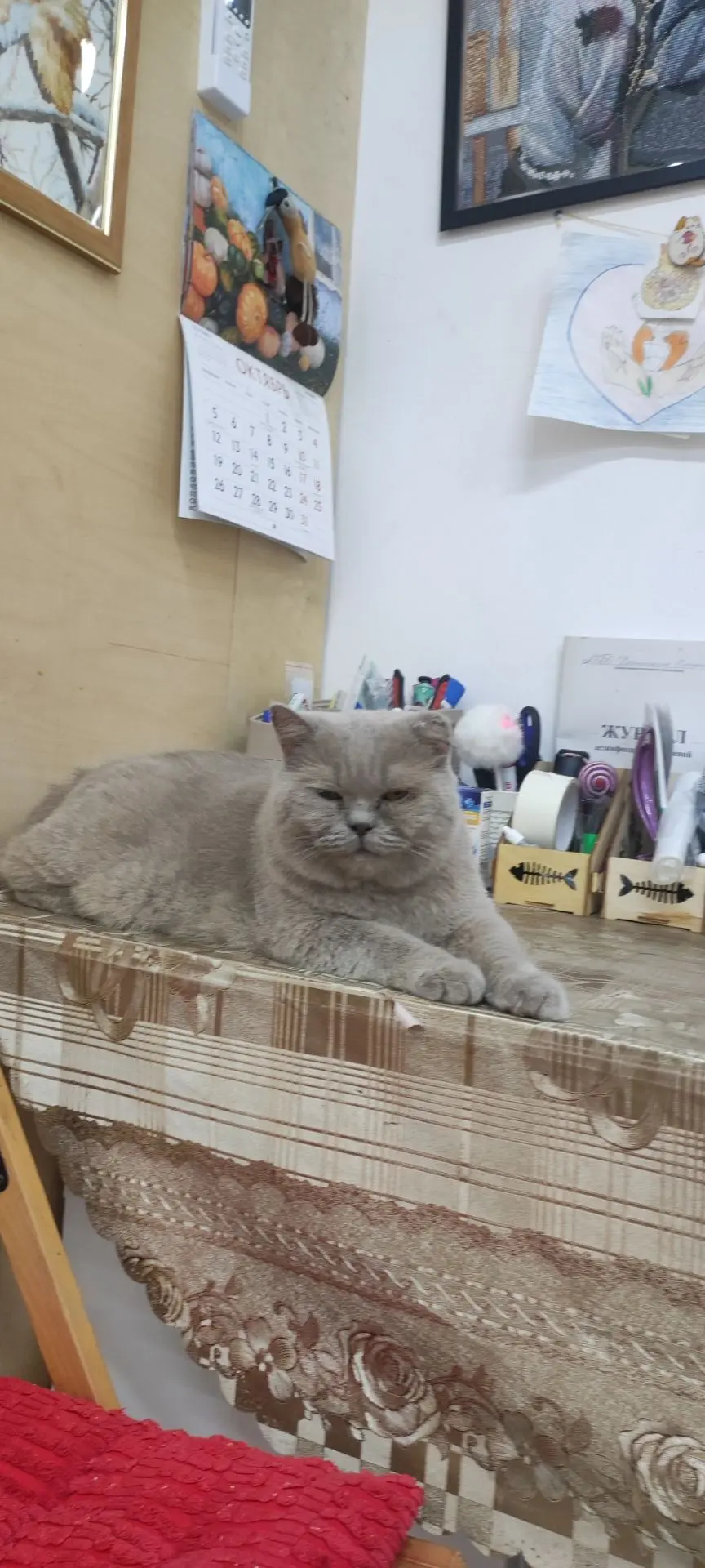 Моменты дня 😍