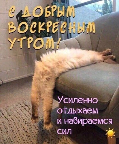 Оставьте реакцию — это как тёплый привет! 💖Поделитесь открыткой — подарите кусочек сча...