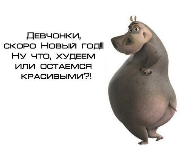 сезон похудею к лету, объявляю закрытым 🚫