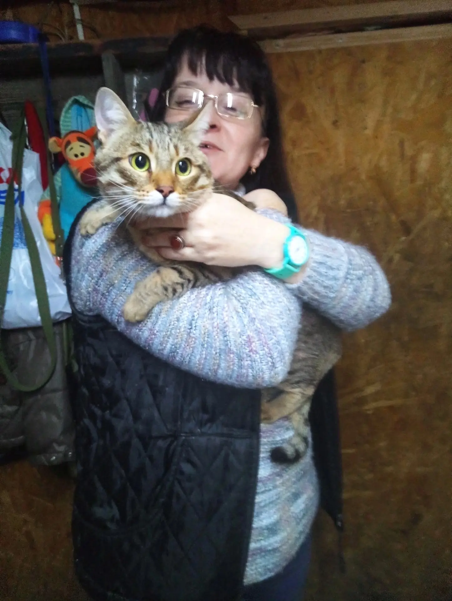 Котик поехал домой