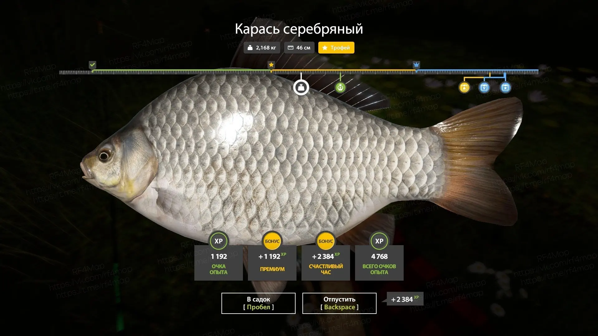#квалификация_rf4map