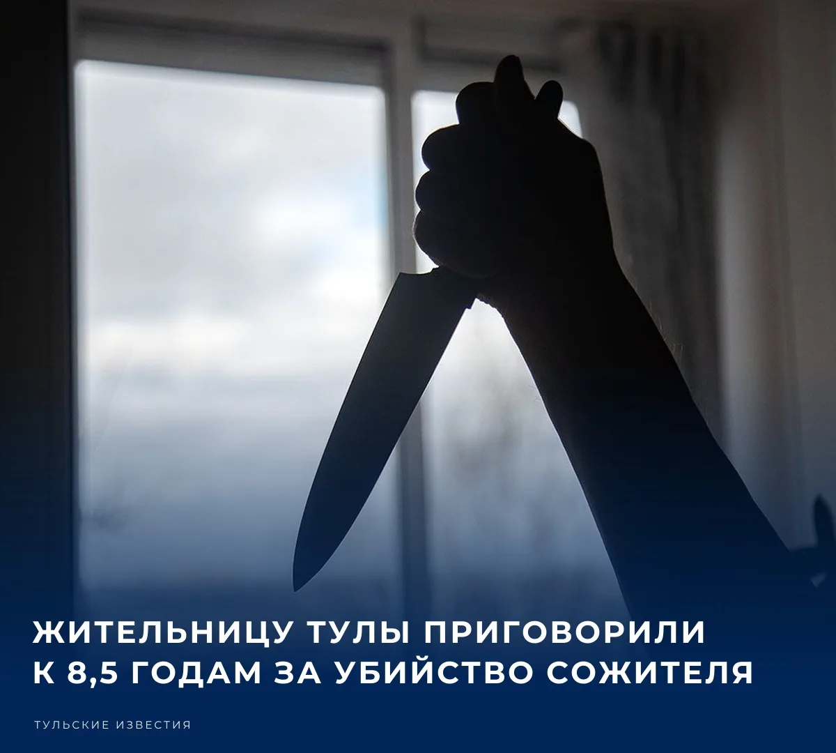 ⚖️ Зареченский районный суд Тулы приговорил 30-летнюю местную жительницу к 8 годам 6 ме...