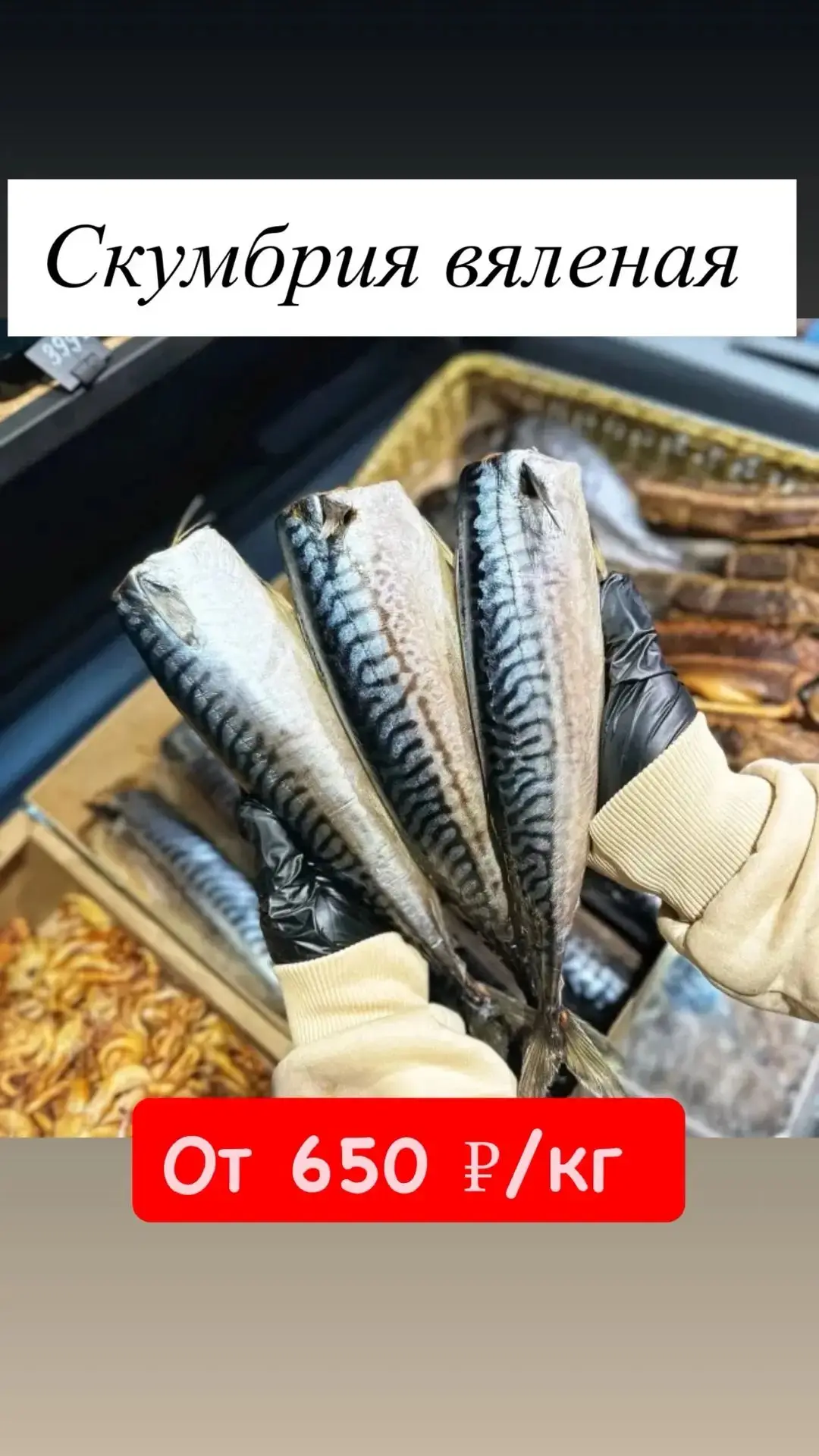 ❗️Каневская❗️