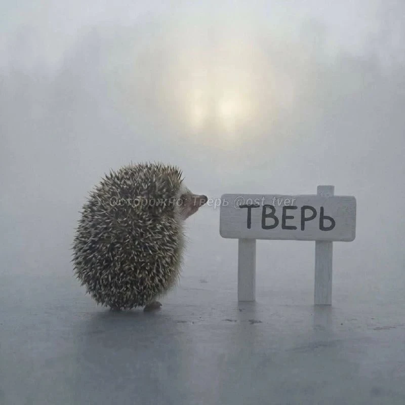 ⚡️Экстренное предупреждение выпустили МЧС