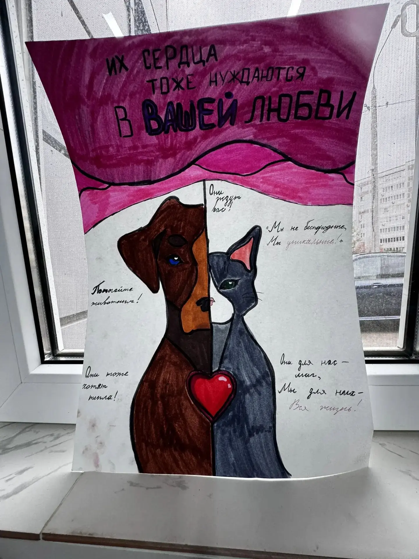 🐾 Маленькое дело — большая помощь!