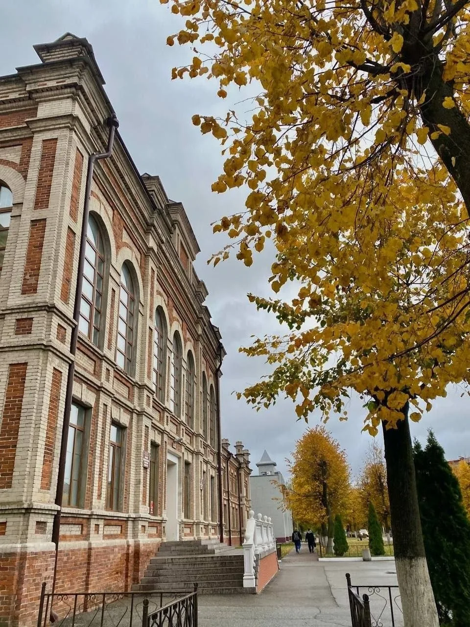 Осень 🍂