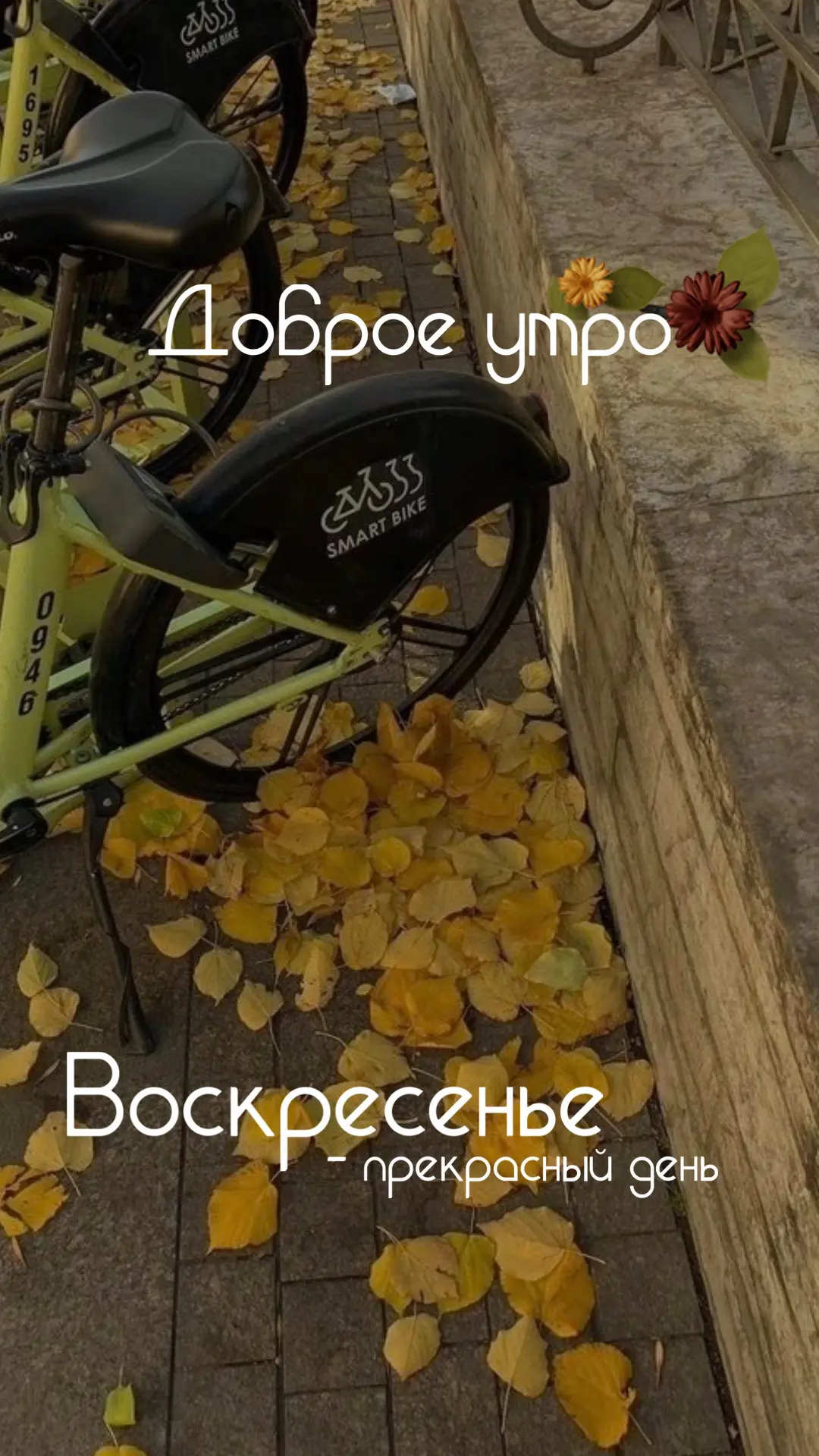 ★ БЬЮТИ КОНТЕНТ В MAX