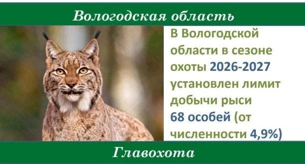 🔰В области с 15 октября открывается охота на рысь, горностая, ласку, норку, белку, кун...