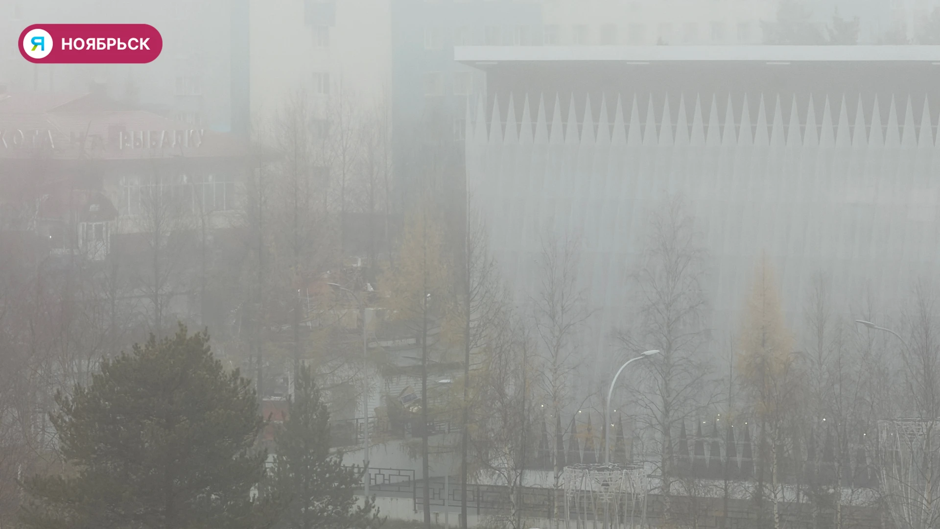 Город снова утонул в тумане 🌫️