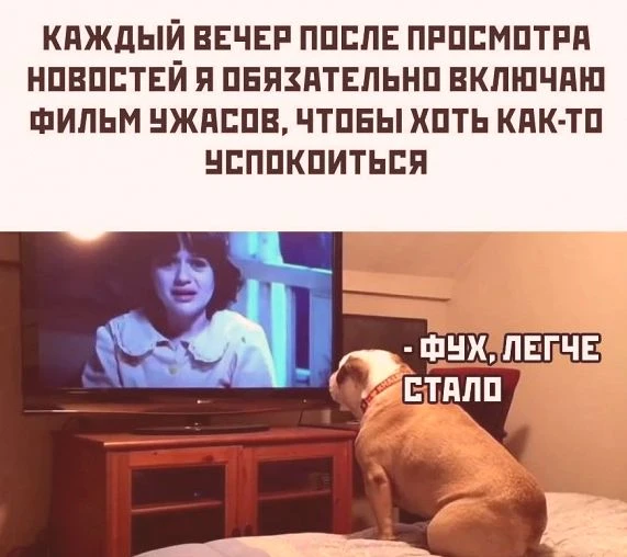 Спокойного и уютного вечера.... 👻✨🌃🌃🌃  #вечер #готовимсяКсну #сладкихСнов