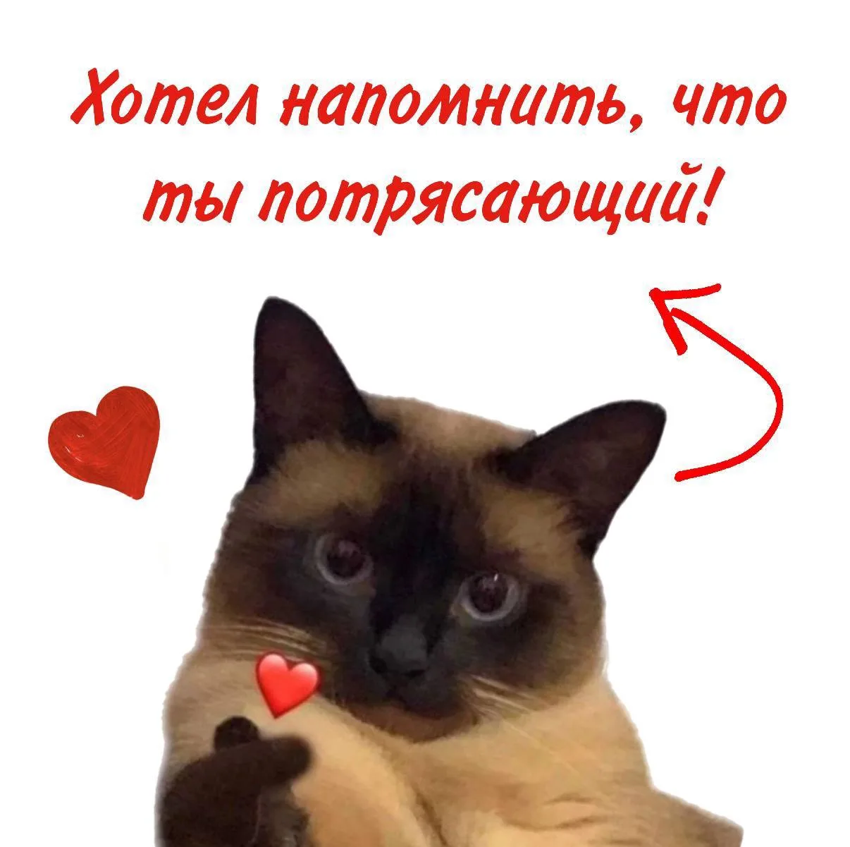 ДОБРОЕ ❤️ УТРО