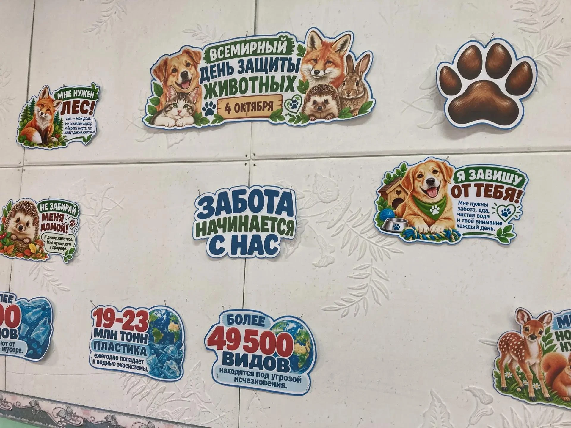 🌍 Всемирный день защиты животных в нашей школе! 🐾