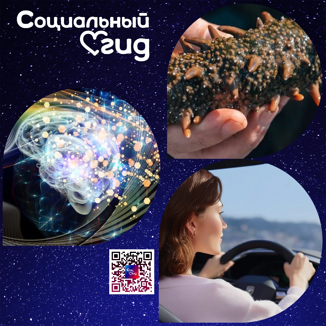 Хроники интересных новостей