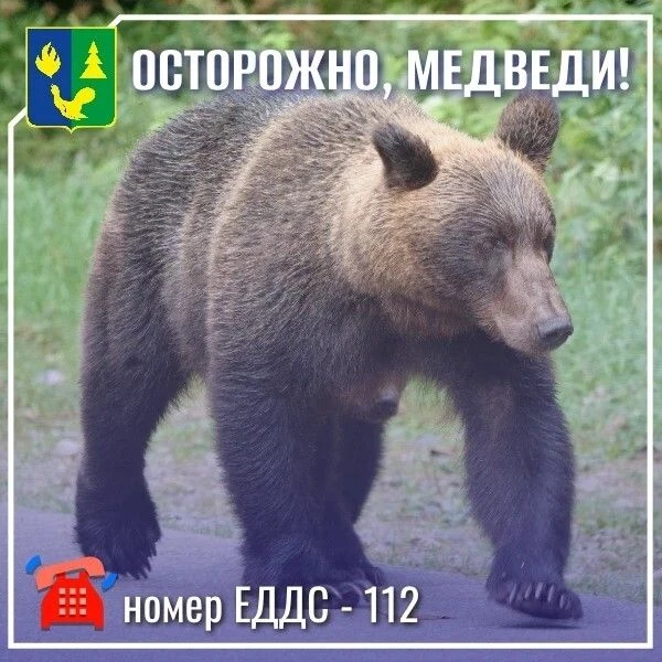 ❗️ Внимание! В северной промзоне г.п. Советский в районе водозаборных сооружений замече...