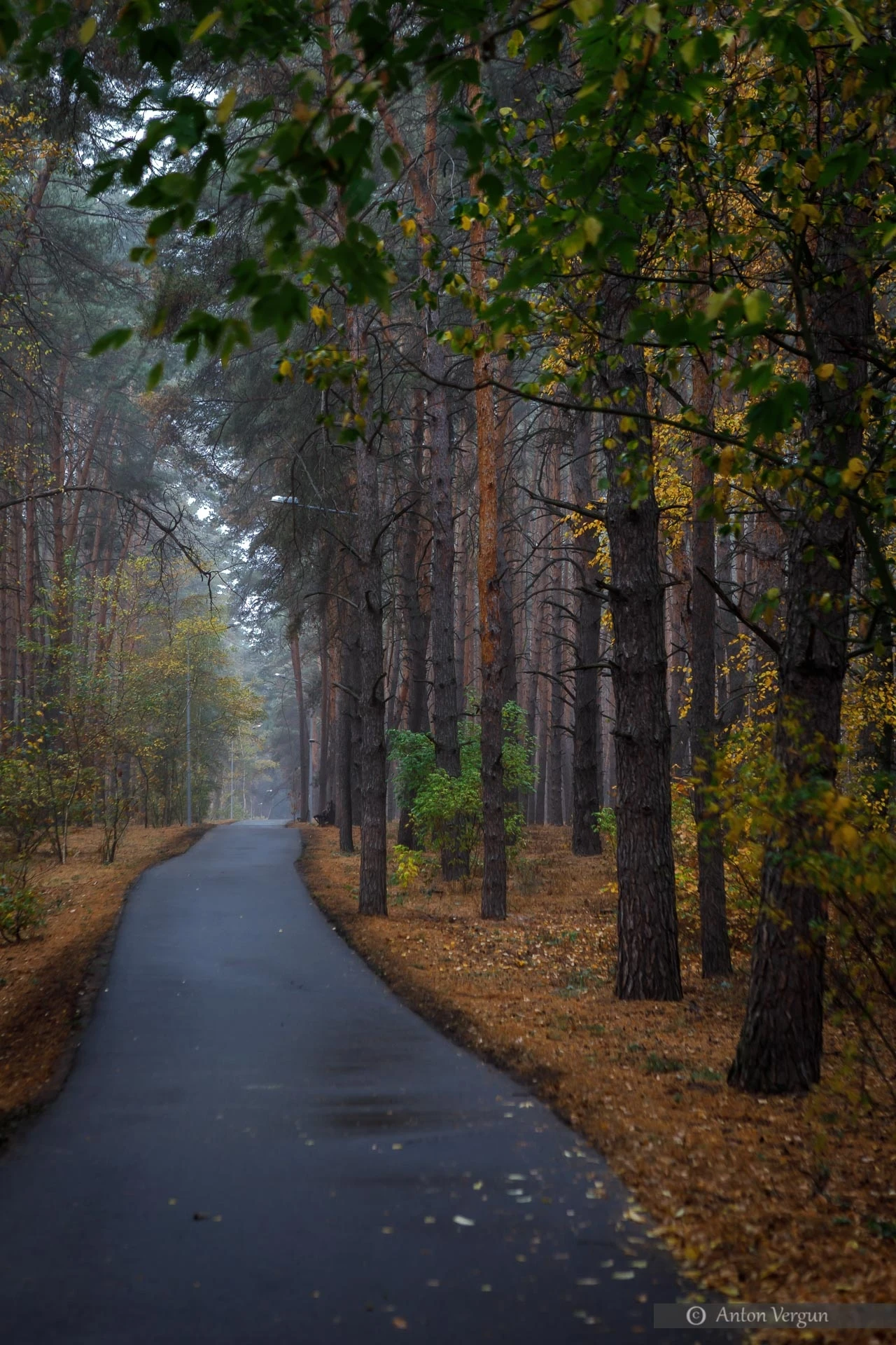 Красивые уголки Белогорья 🍁