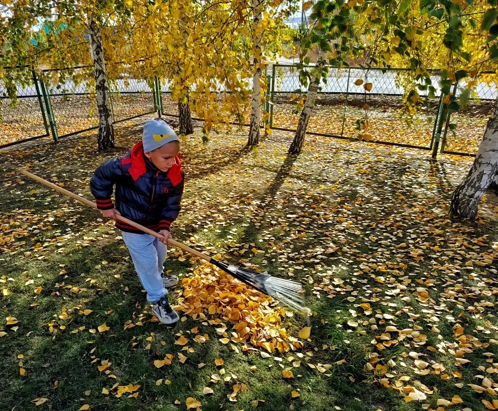 🍁🍁🍁 Золотая осень продолжает радовать своей чудесной погодой! 🏡🏡🏡 Вся  игровая пл...