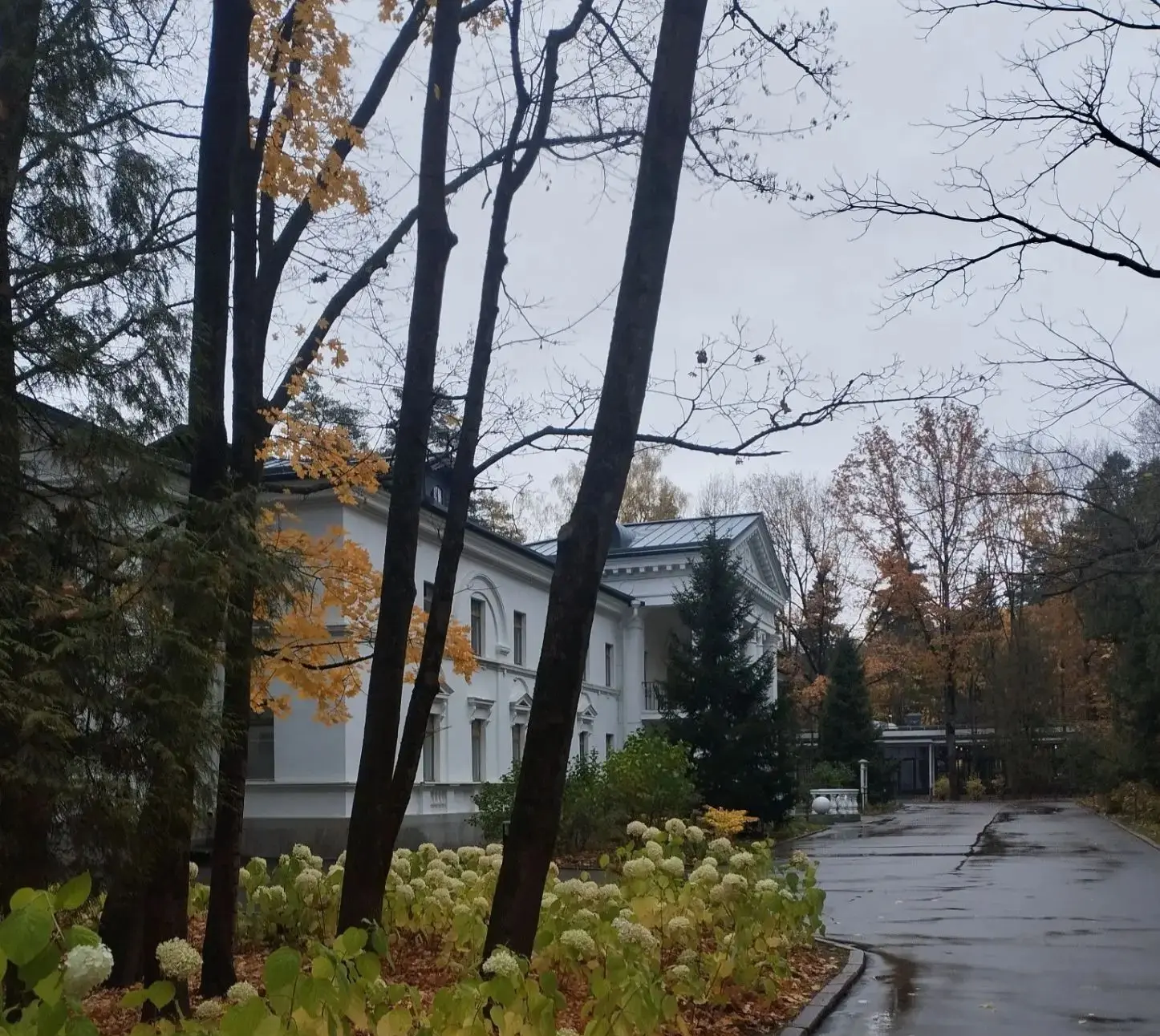 🍂 Золотая осень на Переделкинских дачах: приглашаем на пленэр!