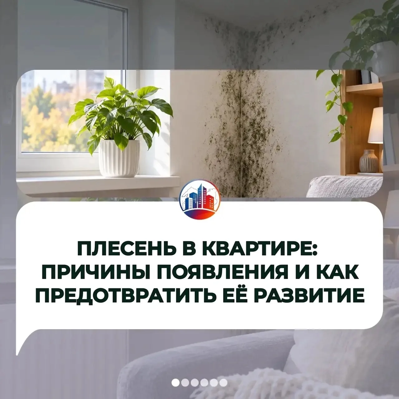 Плесень в квартире: почему появляется и как с ней бороться?