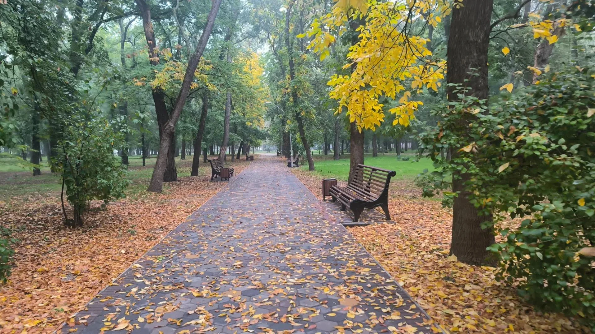 Доброе утро, Мелитополь!