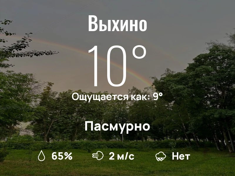 Что с погодой в Выхино?