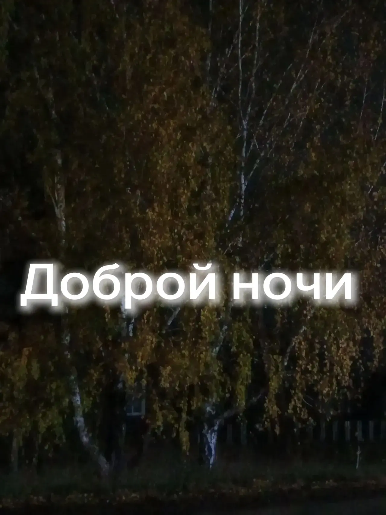 Ночь — мост между вчера и завтра, сон — пауза, в которой время учится молчать.