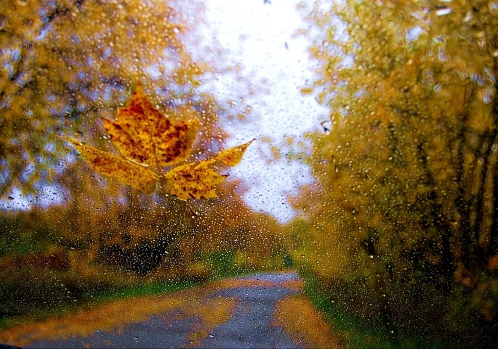 Фото Т.Меньшиковой 📸