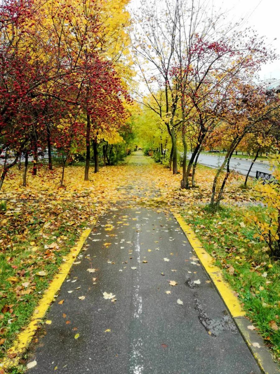 📅 Доброе утро, Краснознаменск!