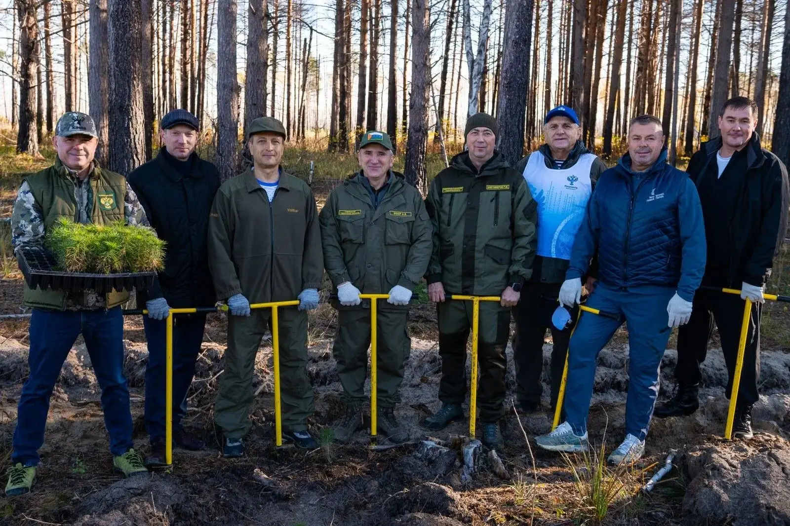 Представители Тюменского Росреестра приняли участие в посадке леса