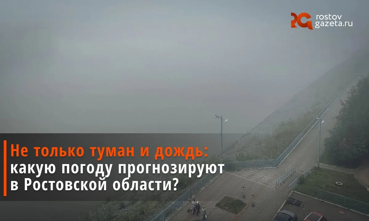 В ближайшие дни в Ростовской области ожидаются дожди, порывистый ветер и туманы.