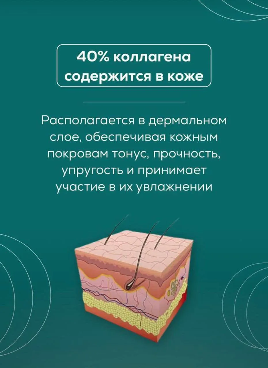 Как видите, коллаген просто необходим нашему организму.