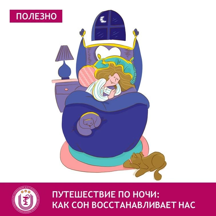 Каждую ночь мы отправляемся в удивительное путешествие, состоящее из нескольких этапов....