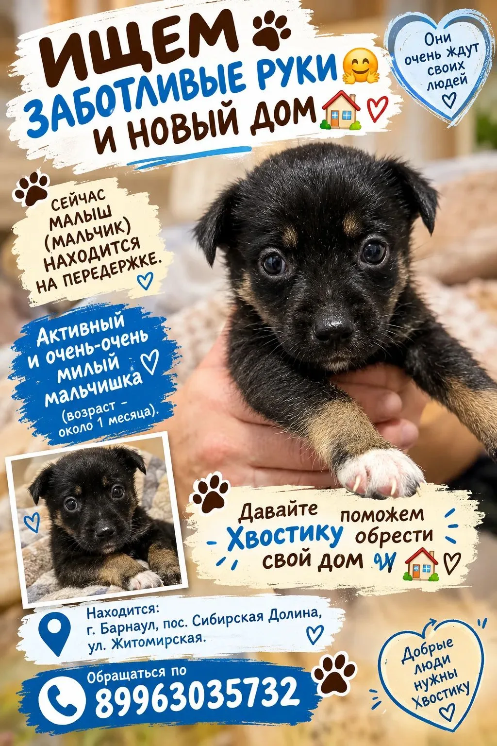 📌 #ОтдамДаром