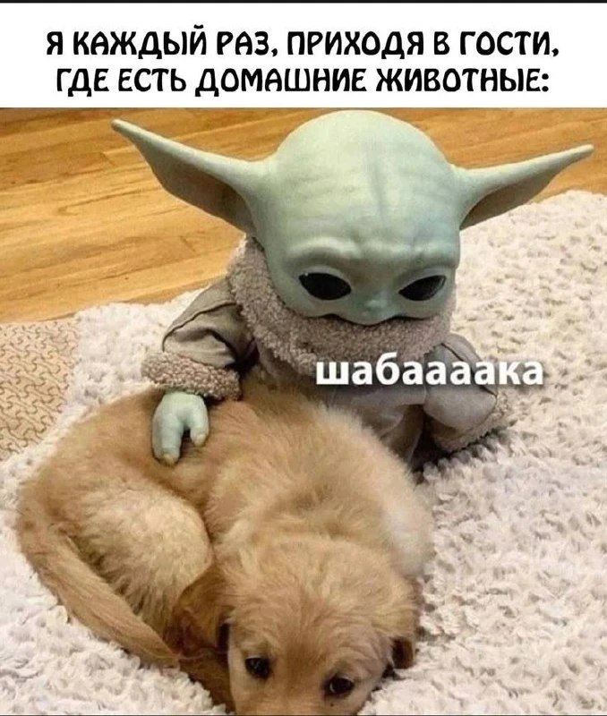 ✨Доброе утро ✨