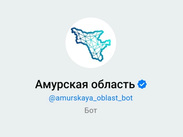 📱 В Амурской области функционирует единый региональный сервис, реализованный в виде ве...