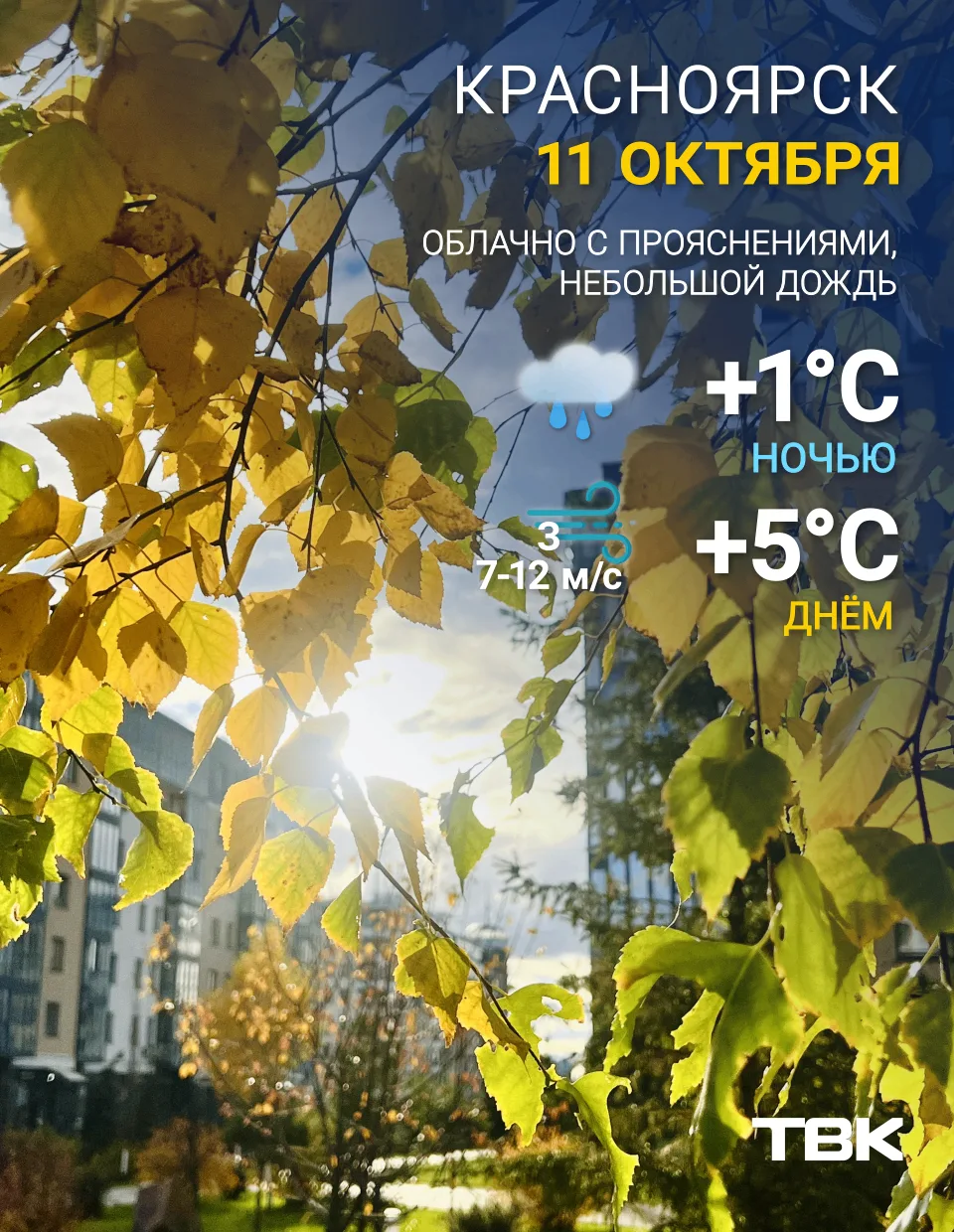 Погода на сегодня