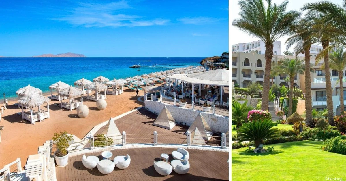 ⭐ Выбор Виасан в Шарм-эль-Шейхе: Sunrise Arabian Beach Resort, Grand Select 5*