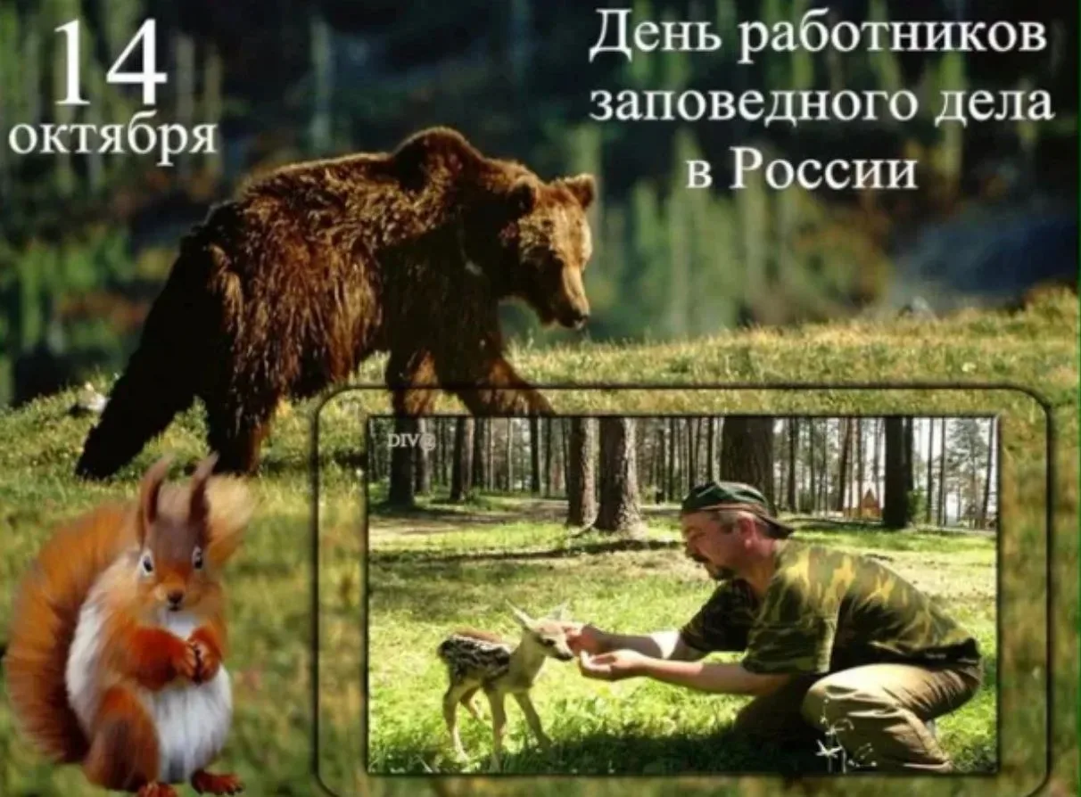 В России День работников заповедного дела отмечается 14 октября.
